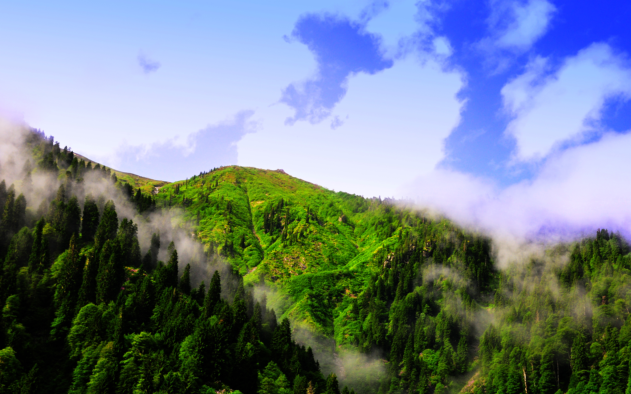 Manzaralar, ah o yerler