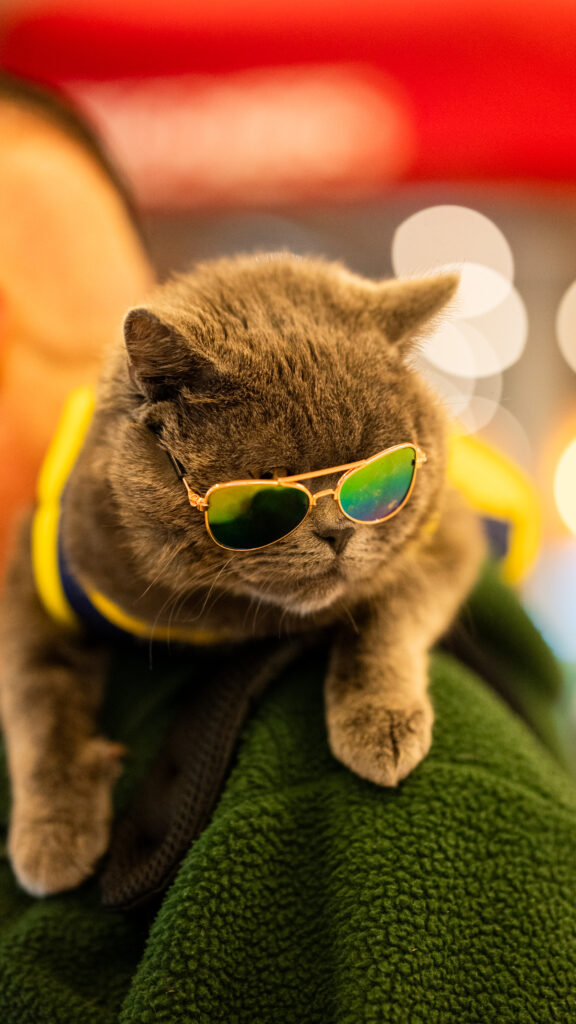 The man catson